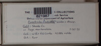 Image Associated With the Occurence